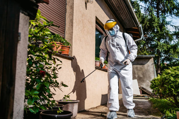 Best Pest Control for Businesses  in USA